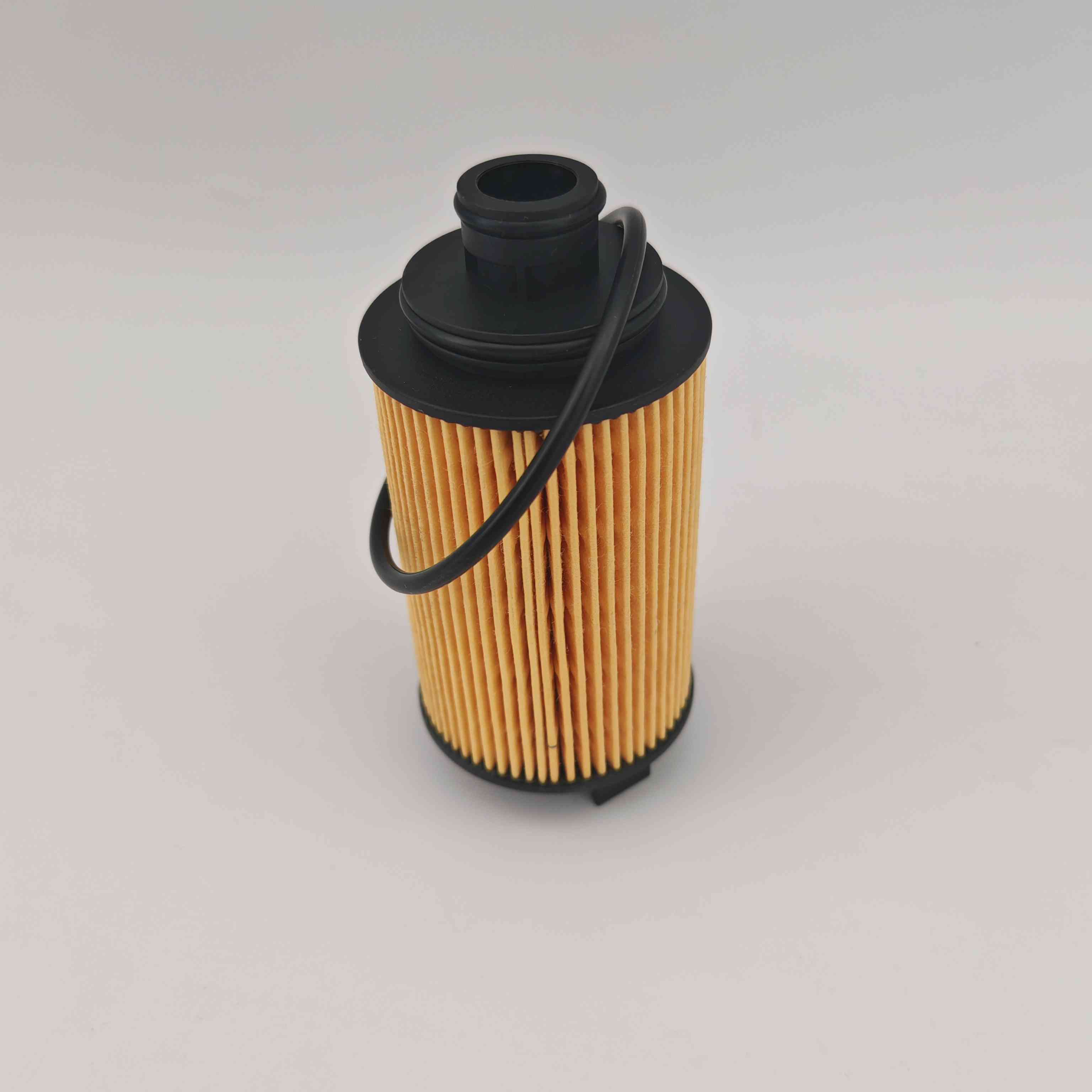 E4G16-1012040 FOP292 MD-827 EO38010 Oil Filter